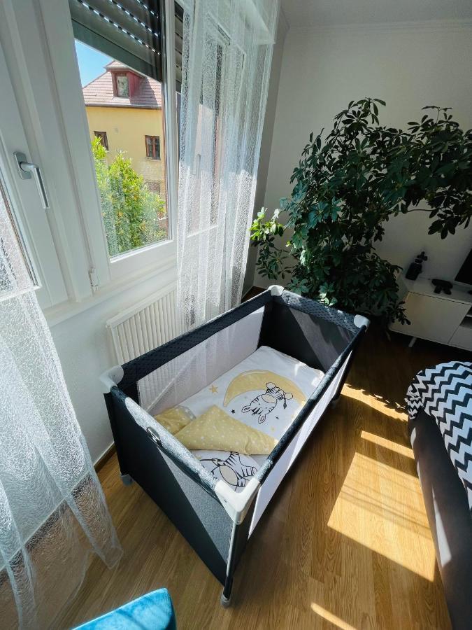 Le gîte de Sabina - Colmar Extérieur photo